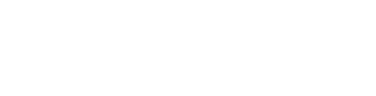 Delevit Logo
